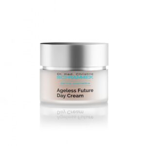 Ageless future day cream